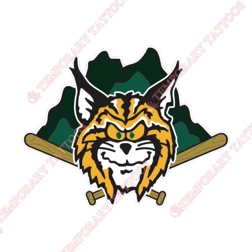 Lynchburg Hillcats Customize Temporary Tattoos Stickers NO.7792